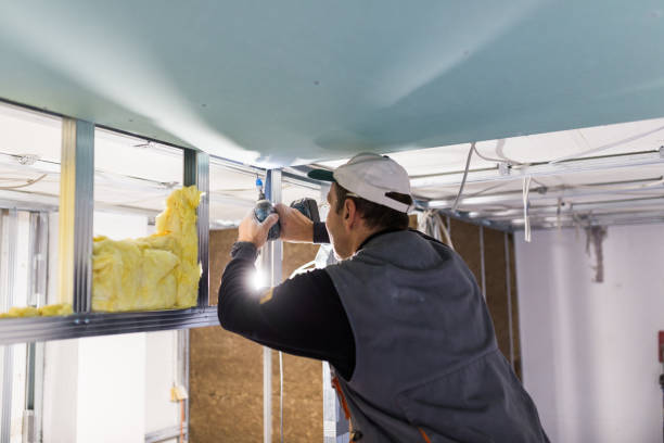 Best Types of Insulation in Miramar Beach, FL