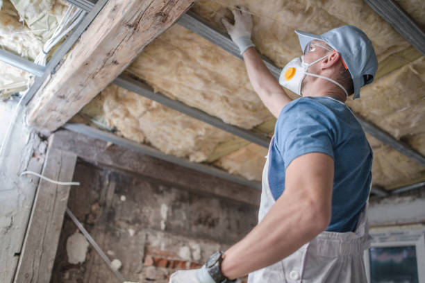 Best Residential Insulation in Miramar Beach, FL